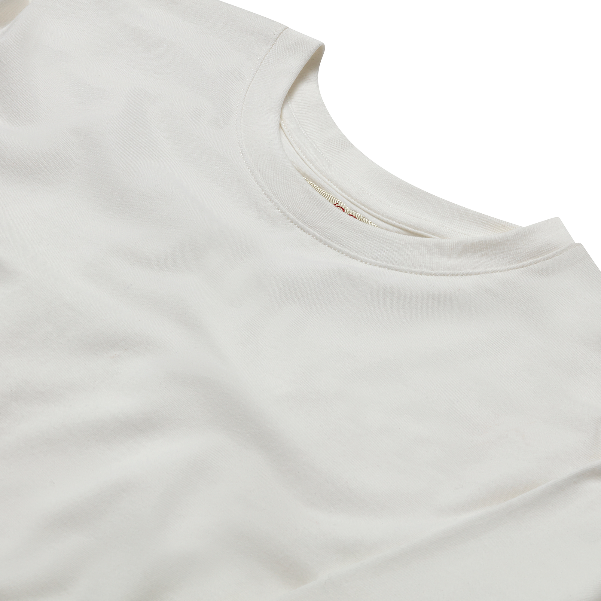 The Long Sleeve T-Shirt