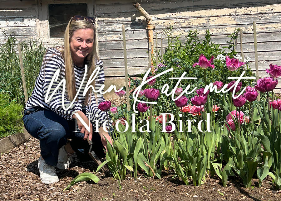 When Kate Met Nicola Bird